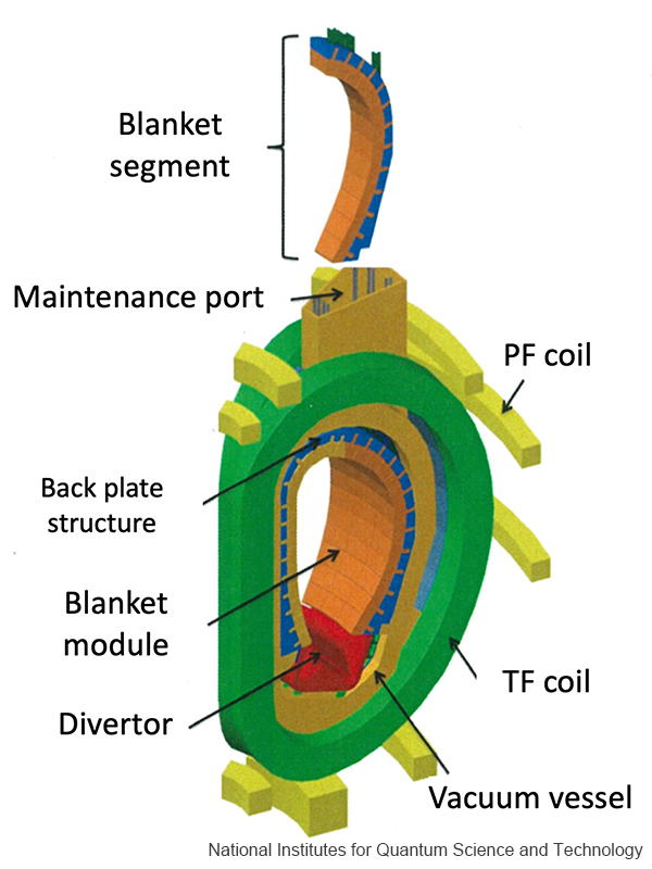 Efforts to Develop Nuclear Fusion Demonstration Reactor