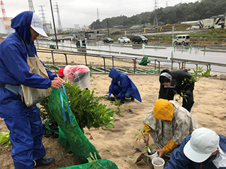 Employees planting their home-grown saplings