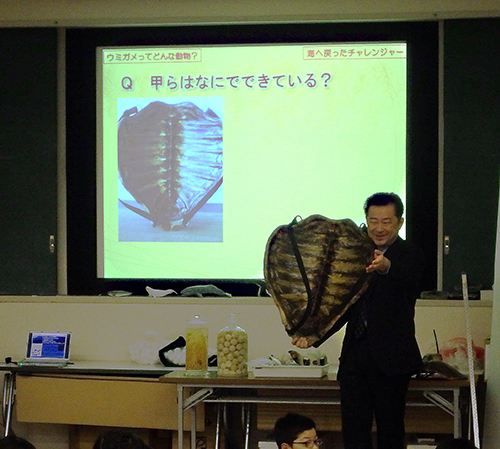 Mr. Matsuzawa showing a loggerhead turtle shell　