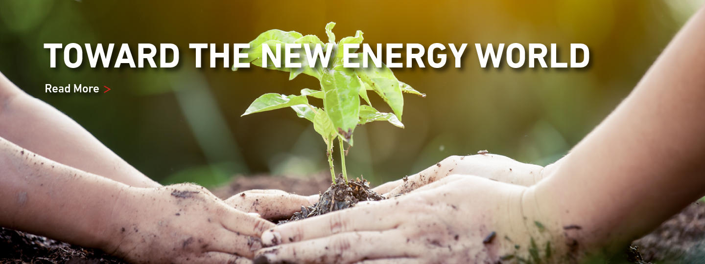 TOWARD THE NEW ENERGY WORLD