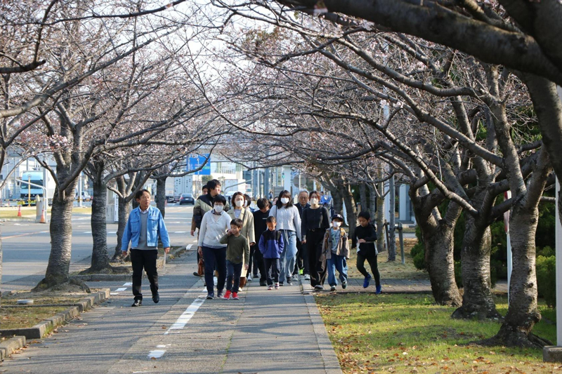 Participants walking to the office through the cherry blossom-lined avenue