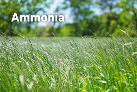 Ammonia