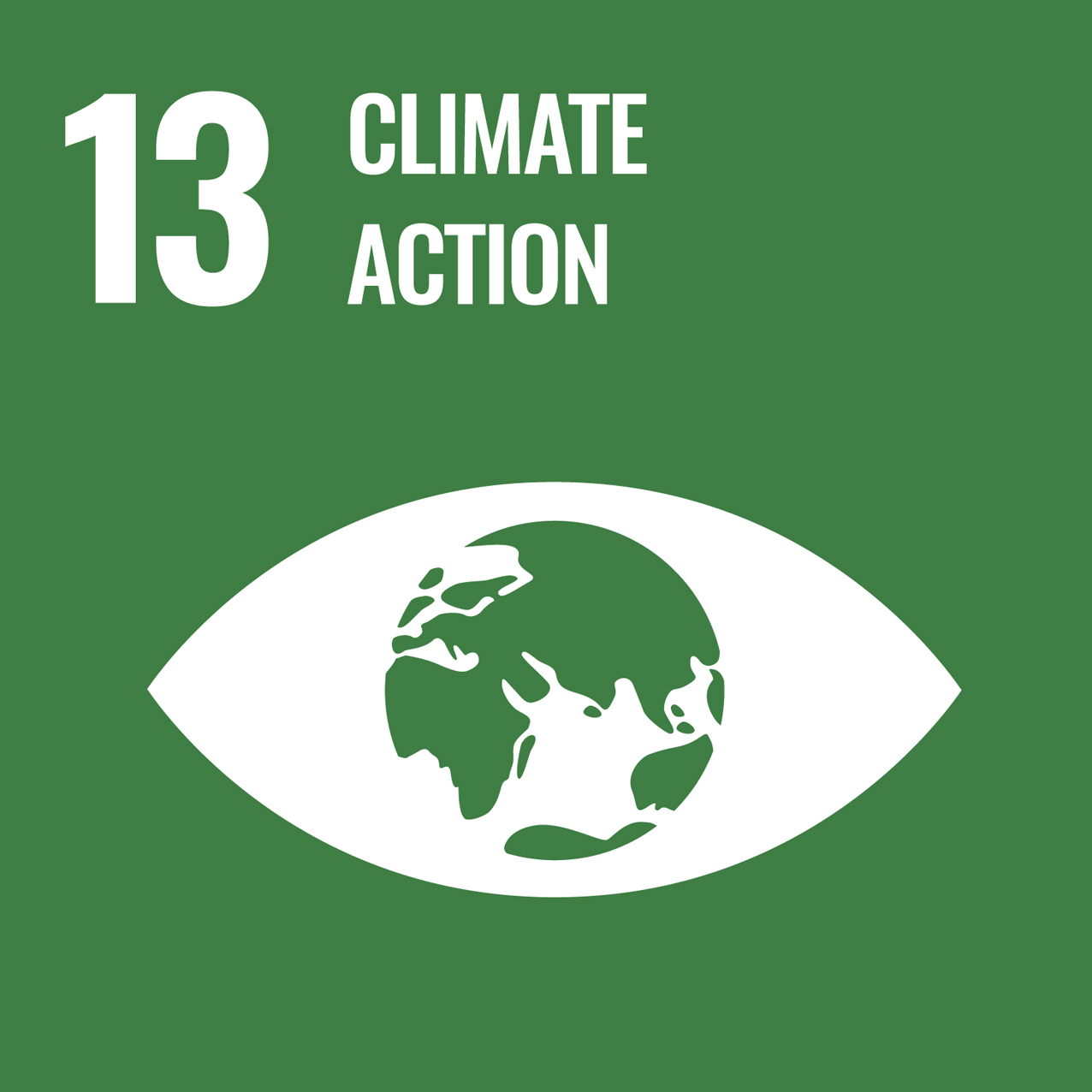 Goal 13. Take urgent action to combat climate change and its impacts