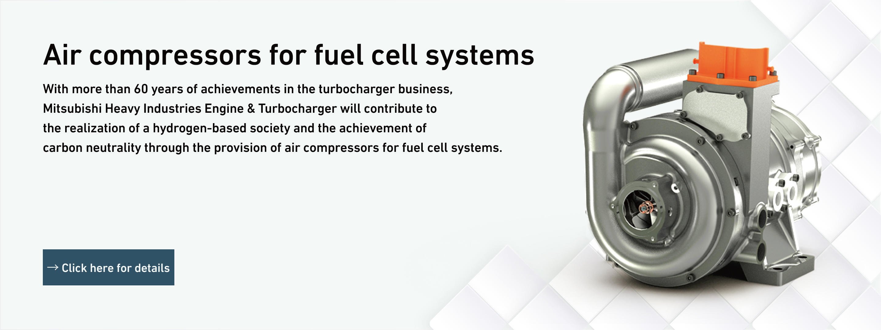 Air compressors for fuel cell systems