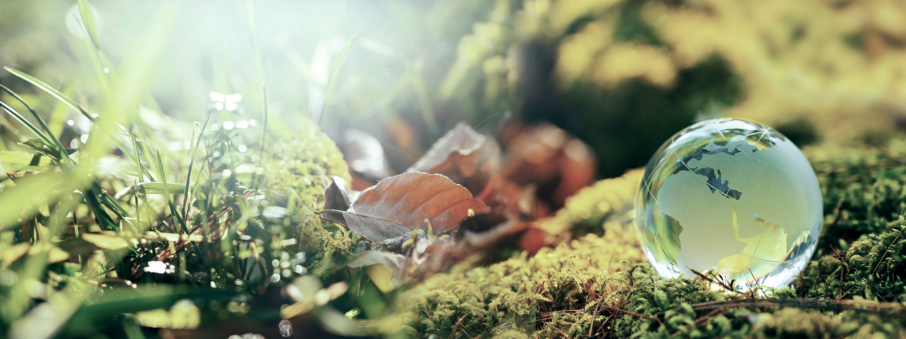 MHI LOW CARBON SOLUTIONS CANADA