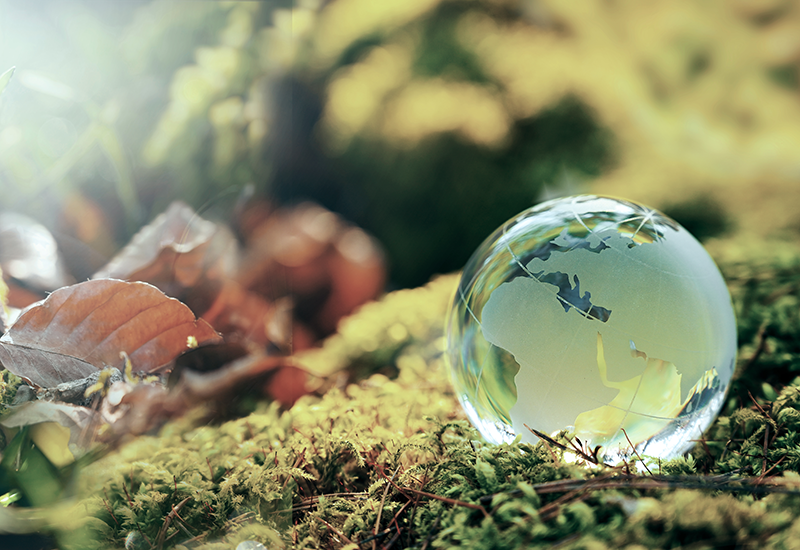 MHI LOW CARBON SOLUTIONS CANADA