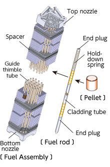 Fuel Assembly Manufacturing (Fuel rod to fuel assembly)