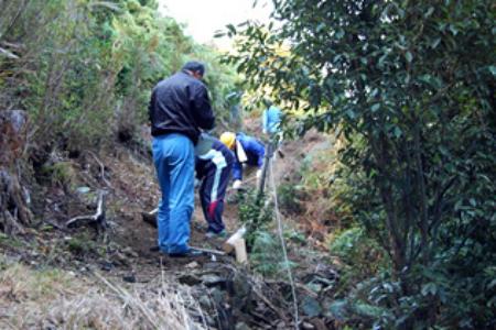 Building Footpaths and Clearings