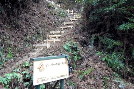 Building Footpaths and Clearings