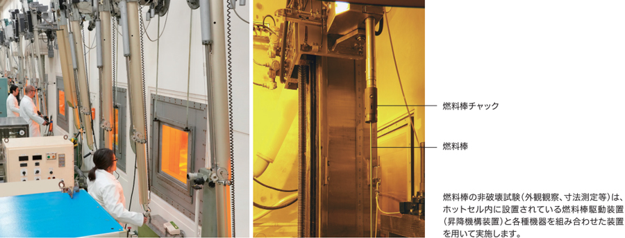 燃料ホットラボ施設