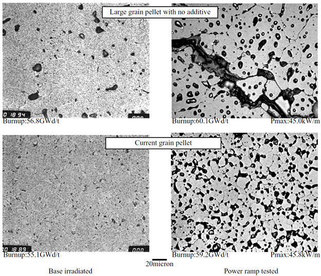 Large grain pellet with no additive ,Conventional grain pellet