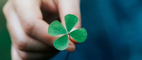 Quality, Environment, and Safety and Health Policy