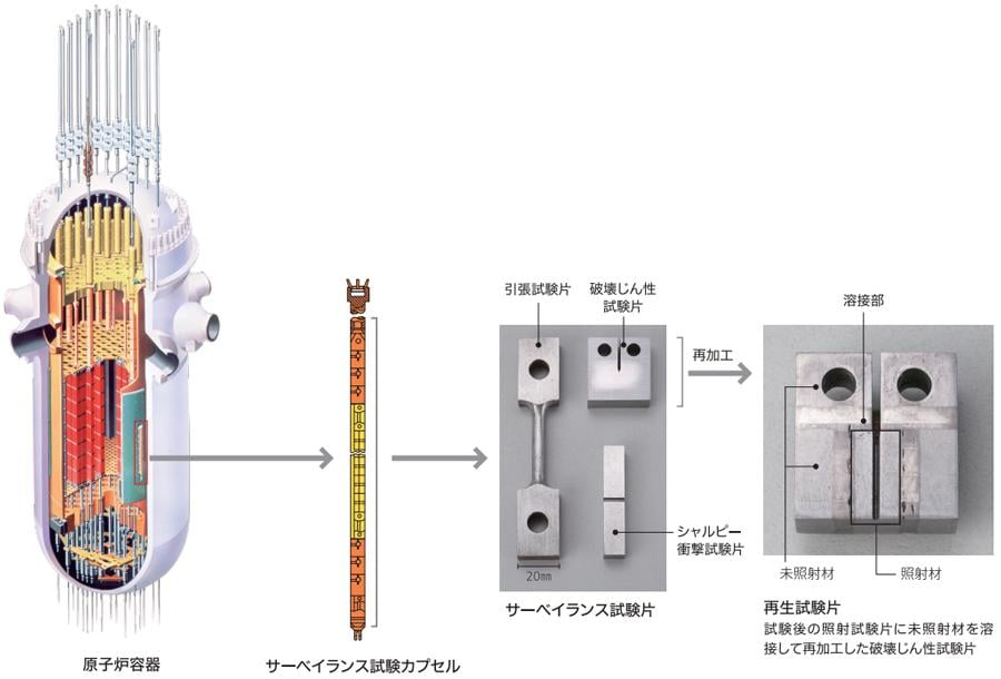 サーベイランス試験の目的