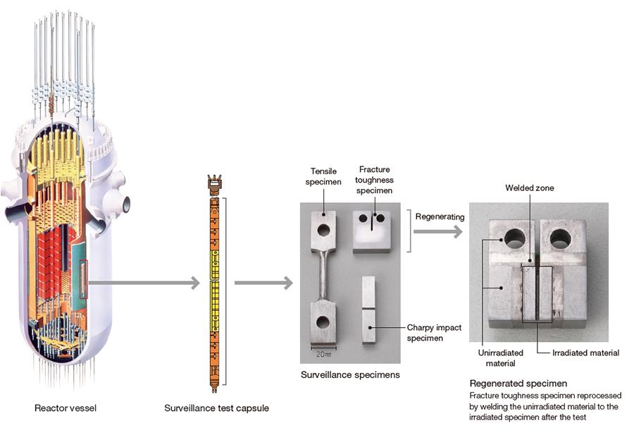 Purpose of the surveillance test