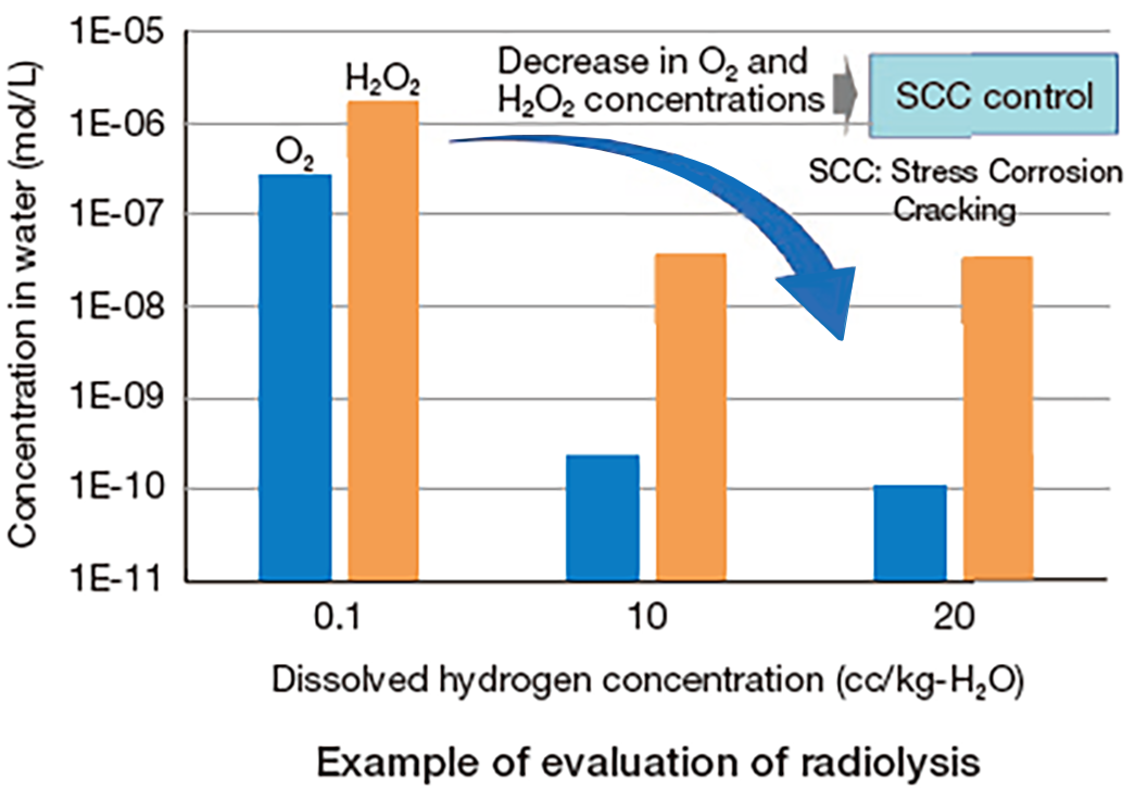 Example of evaluation of radiolysis