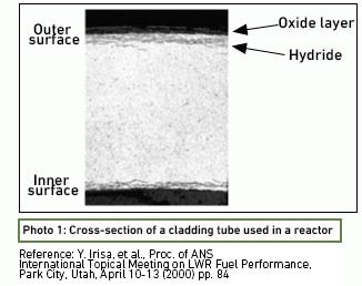 Cross-section of a cladding tube used in a reactor