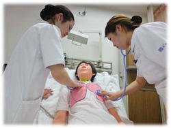 写真：新人看護師のサポート体制について2
