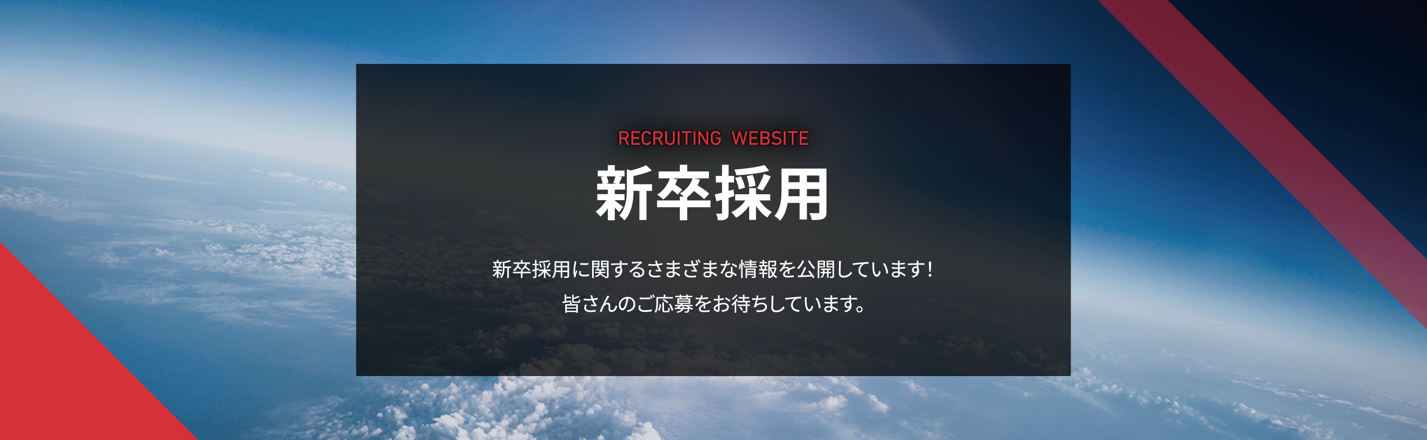 新卒採用
