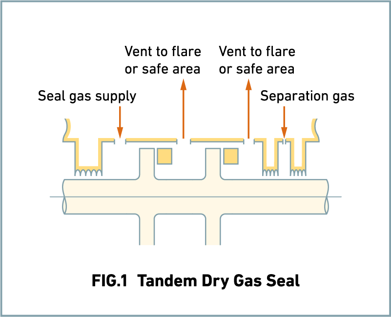 FIG.1 Tandem Dry Gas Seal