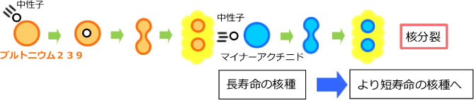 放射性廃棄物の核変換