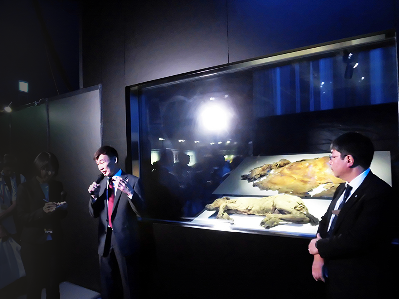 三菱重工冷熱 2019マンモス展 冷凍標本 展示設備