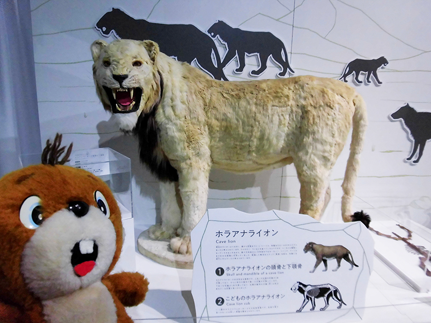 三菱重工冷熱 2019マンモス展 ホラアナライオン