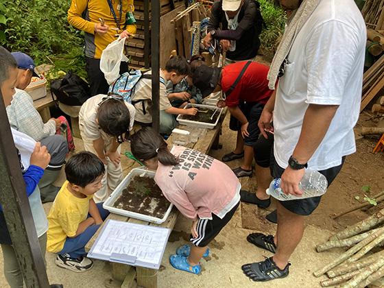 自然観察・水生生物観察
