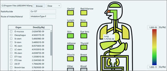内部被ばく線量評価コード FlexID