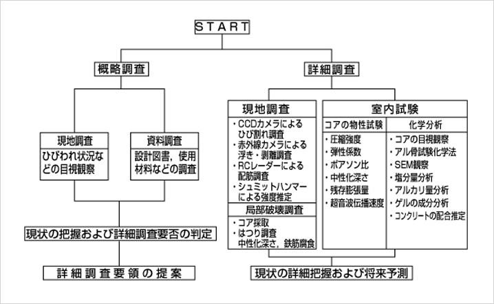 調査フロー