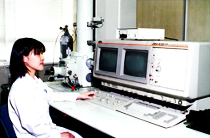 走査型顕微鏡(SEM)