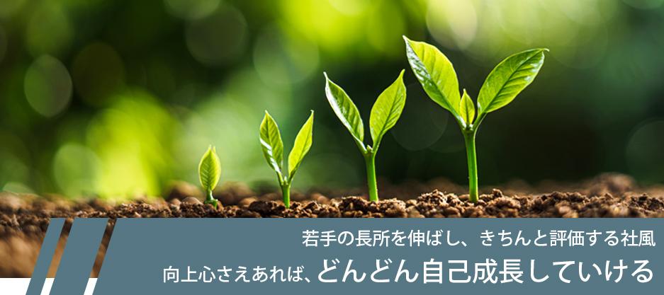 若手の長所を伸ばし、きちんと評価する社風 向上心さえあれば、どんどん自己成長していける