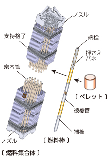 燃料集合体組立工程