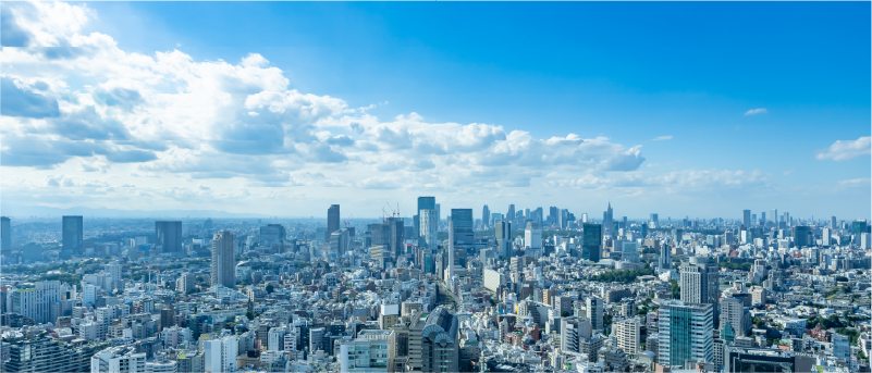 MNFの取組み