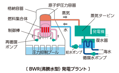 BWR（沸騰水型）発電プラント