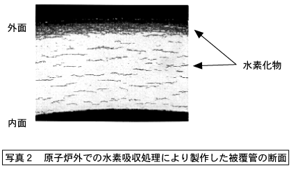 原子炉外での水素吸収処理により制作した被覆管の断面