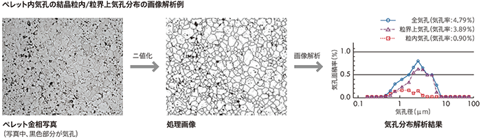 ペレット内気孔の結晶粒内／粒界上気孔分布の画像解析例