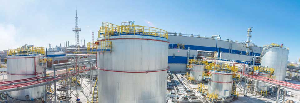 AA/AE Plant