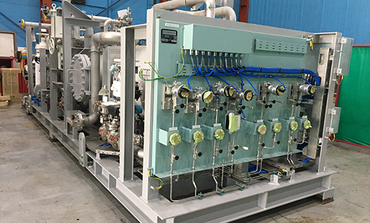 FGSS module