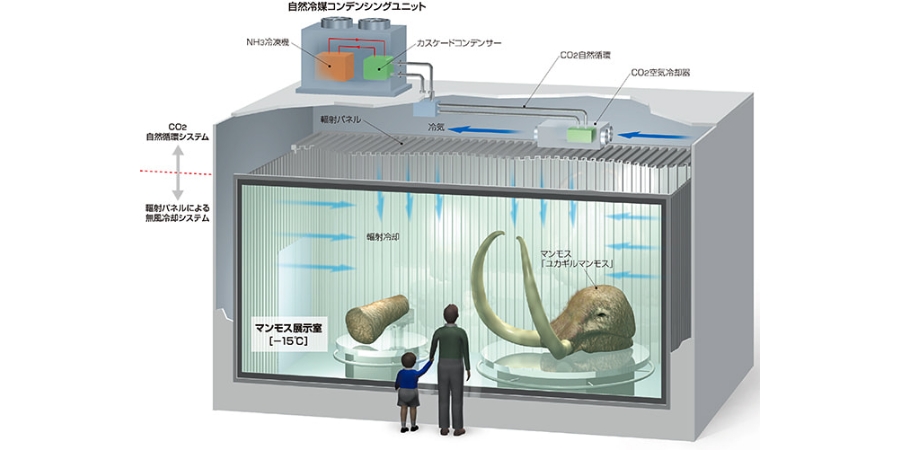 ノンフロン自然冷媒設備