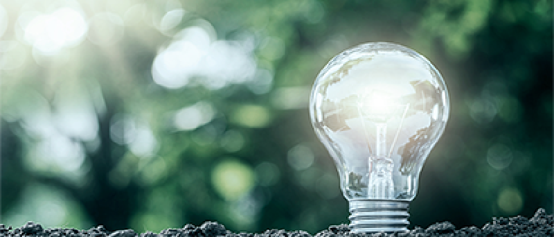 原子力人材育成