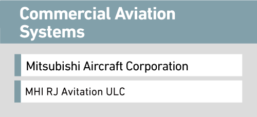 Commercial Aviation Systems