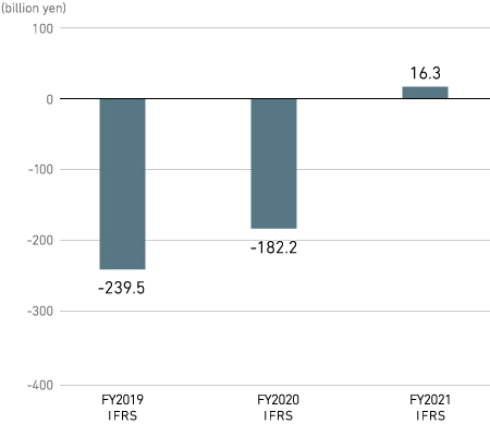 Investment Cash Flow