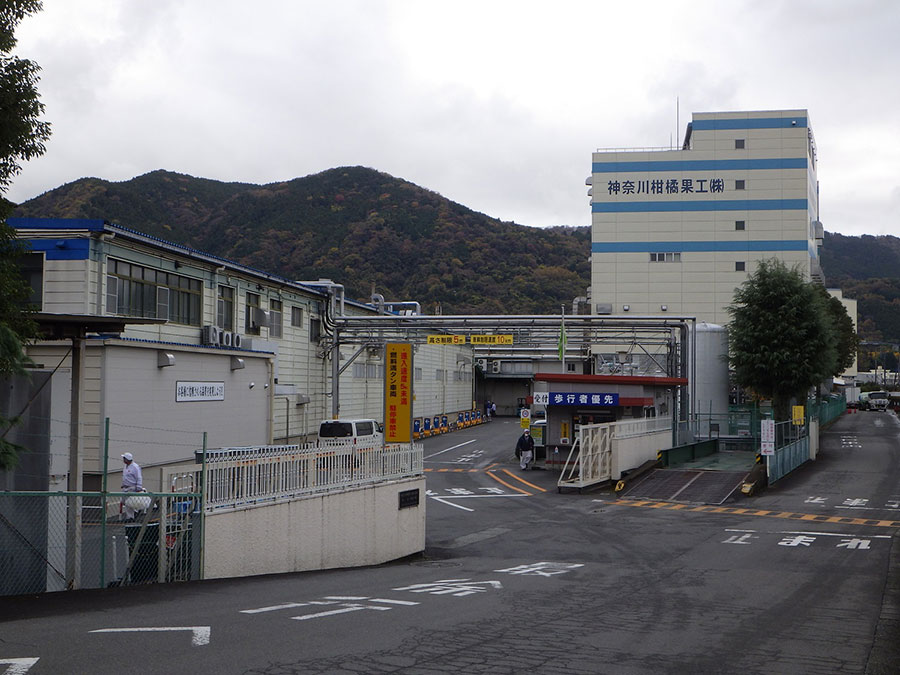 Kanagawa Kankitsu Kako’s Main Plant(left)