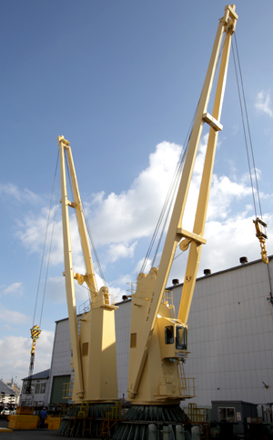 Deck Cranes