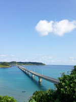 写真:熊野古道(三重県)