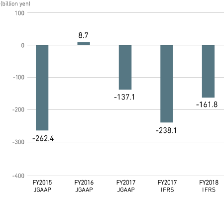 Investment Cash Flow