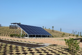 写真：公園に設置した太陽電池パネル