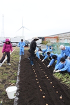 野菜を植え付け