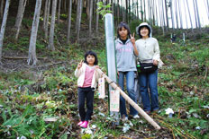 苗木に自作のネームプレートを設置