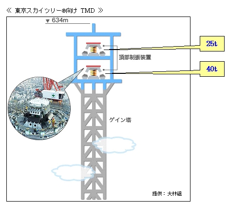 東京ｽｶｲﾂﾘｰ向けTMD